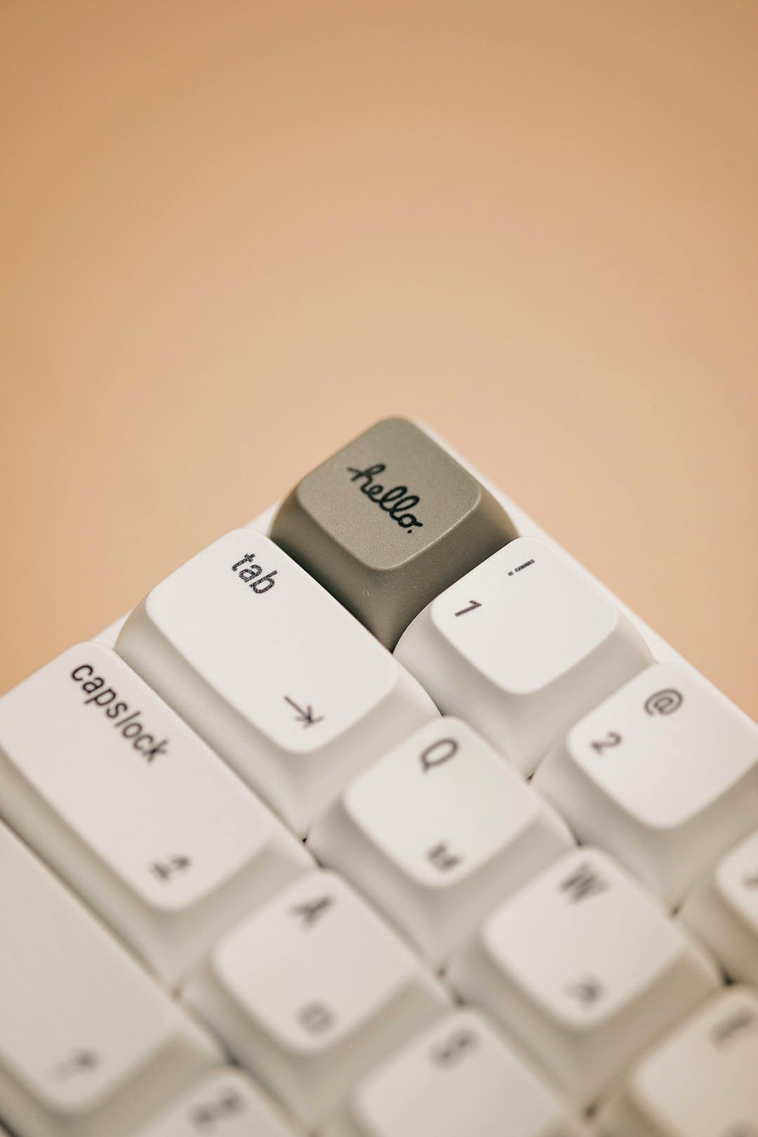 盯着拾荒老人不放，是怜悯？还是想遮羞？