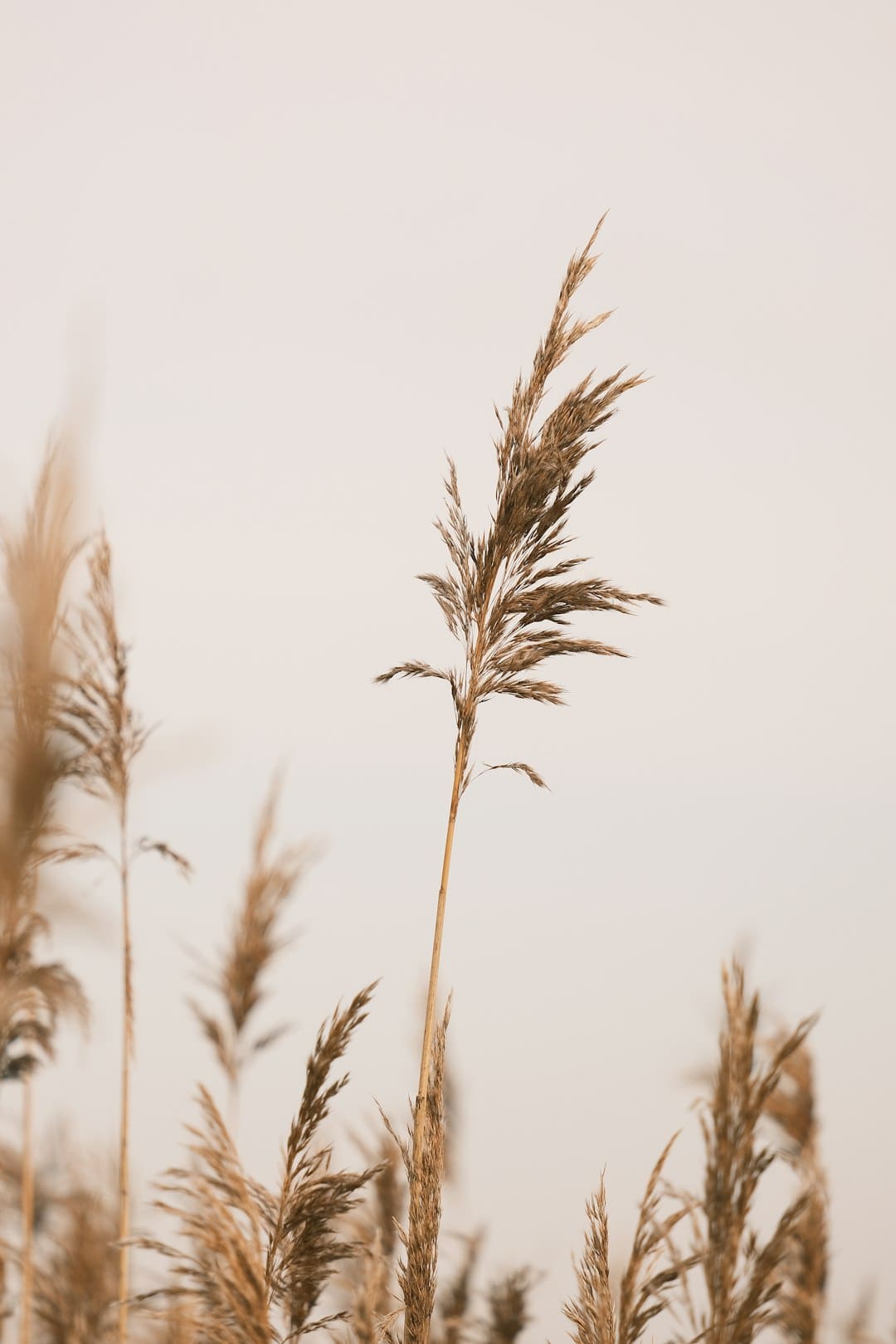 盯着拾荒老人不放，是怜悯？还是想遮羞？